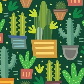 Cacti