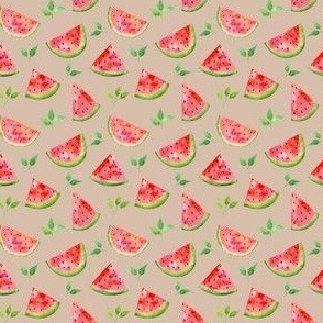 Watermelon - I’m a mess coordinate