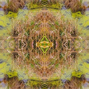 Symmetric Swamp