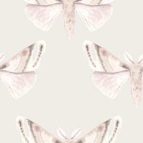 Pink Moths - Offset