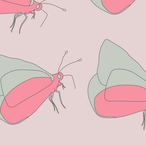 Pink Butterfly