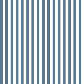 Bengal Stripe Titanium Blue