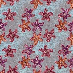 Orange and Purple Starfish
