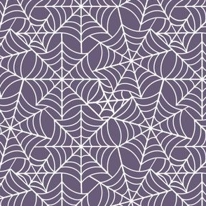 small scale spider web - slate purple