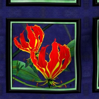 Flame_Lily_Framed.