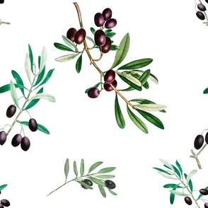 Olives,Tuscany,Italy,Mediterranean art