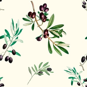 Olives,Tuscany,Italy,Mediterranean art