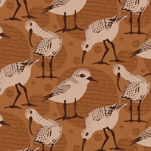 Retro Little Sandpipers