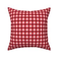 brick red pink gingham