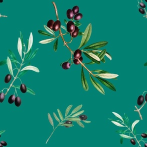 Olives,Tuscany,Italy,Mediterranean art