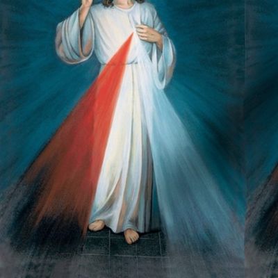 Divine Mercy 5