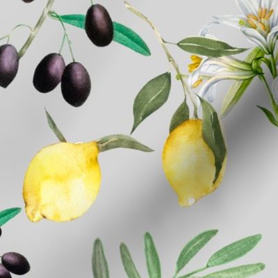 Olives,flowers,lemons,Tuscany,Italy,Mediterranean art