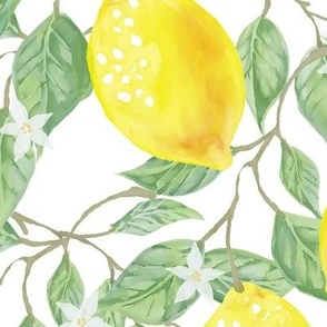 Lemon Tree Watercolor