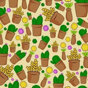 Cactus Pots and Plants