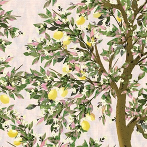 Grasscloth Lemon Trees on Pink Linen Wallpaper New for 2023