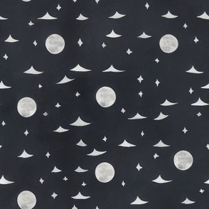Space Print With Stars  16