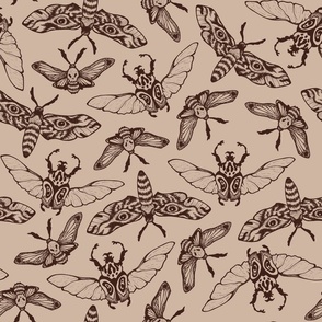 (large) Beetles and moths  earth tones