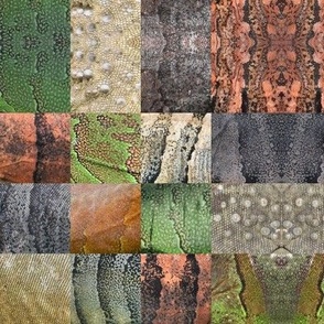 Iguana Skin Patchwork