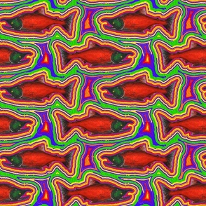 TRIPPY SALMON