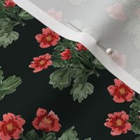 Small - Red Folk Flowers - Black