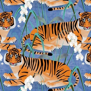 Orange Velvet Tiger on peacock blue