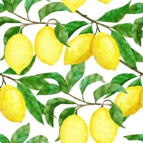 Lemons with Leaves on White Background