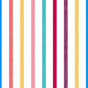 Textured Rainbow Vertical Thin Stripes LS