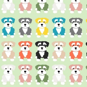 Rainbow Puppies on Pale Green background 
