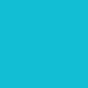 bright turquoise solid colour