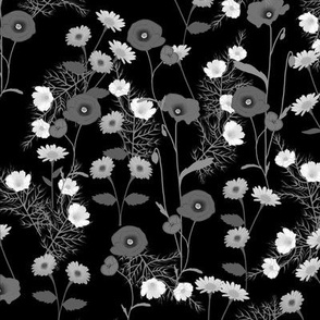 Black & White Wildflowers