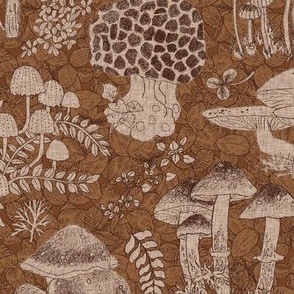 Mushroom Forest/Hand Drawn Mushrooms/Pencil Illustrations - Medium