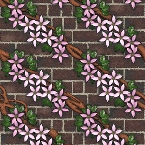 Flowering Clemati Vines on Brick Wall