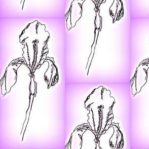 iris2-purple edge