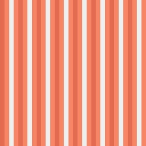 Orange Stripe - 1/4 inch