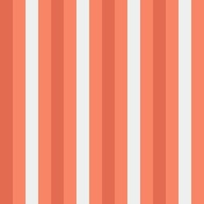 Orange Stripe - 1/2 inch
