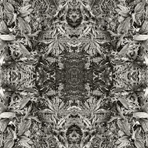 Mirrored sea plants in kaleidoscopic array with central cross grey, silver grey