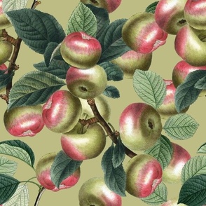 APPLE PICKING - APPLE ORCHARD COLLECTION (GREEN)