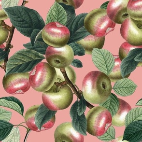 APPLE PICKING - APPLE ORCHARD COLLECTION (PINK)