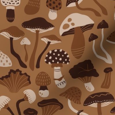 Earth tone mushroom collection