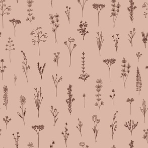 New Wildflowers Lineart in Earth Tones