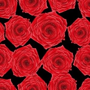red roses - black
