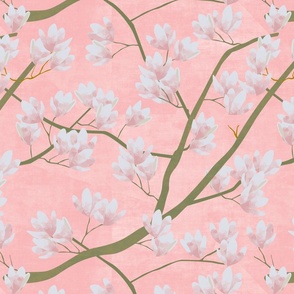 Pretty magnolias on baby pink