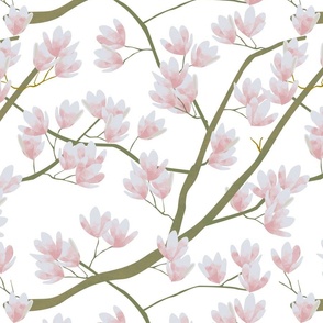 Pretty magnolias on white