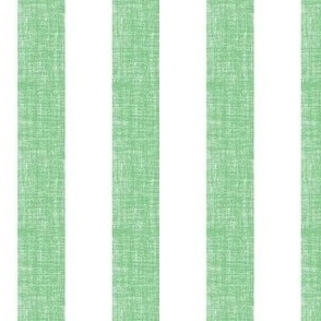 wide stripe green and white_textured