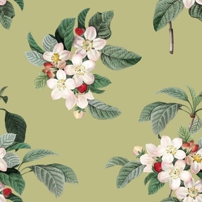 APPLE BLOSSOMS LARGE - APPLE ORCHARD COLLECTION (GREEN)