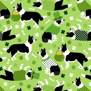 St. Patrick's Day Border Collie