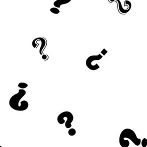 Black Question Mark on White |  Mystery