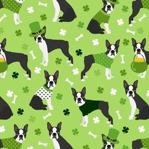 St. Patrick's Day Boston Terrier