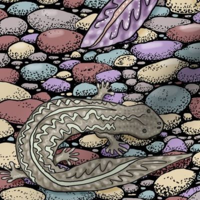 What the Hellbender 18x18