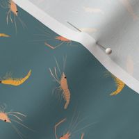 small - shrimp on teal